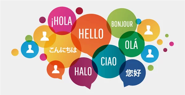 Foreign Languages Courses in DU